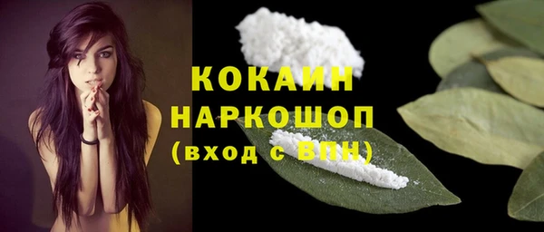 твердый Кинешма