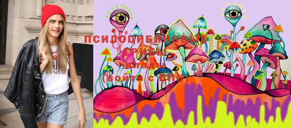 круглые Алексин